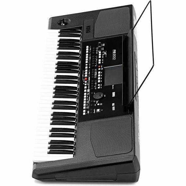 Синтезатор Korg PA300 10106 фото