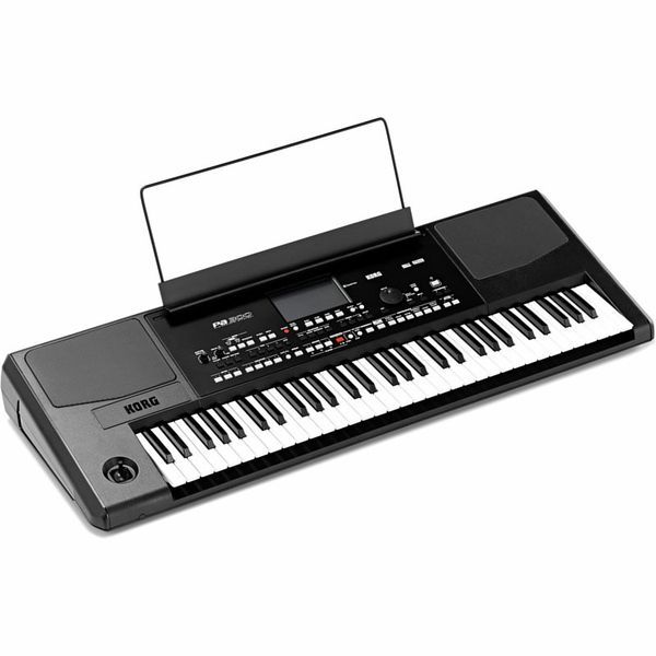 Синтезатор Korg PA300 10106 фото