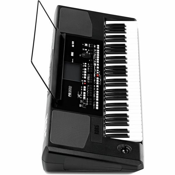 Синтезатор Korg PA300 10106 фото