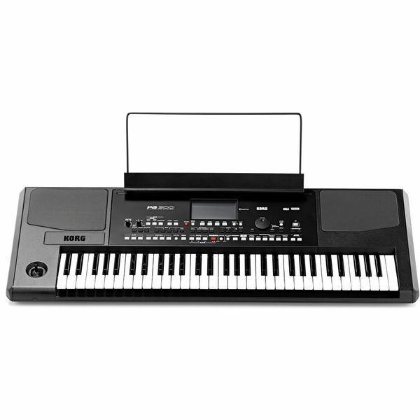 Синтезатор Korg PA300 10106 фото