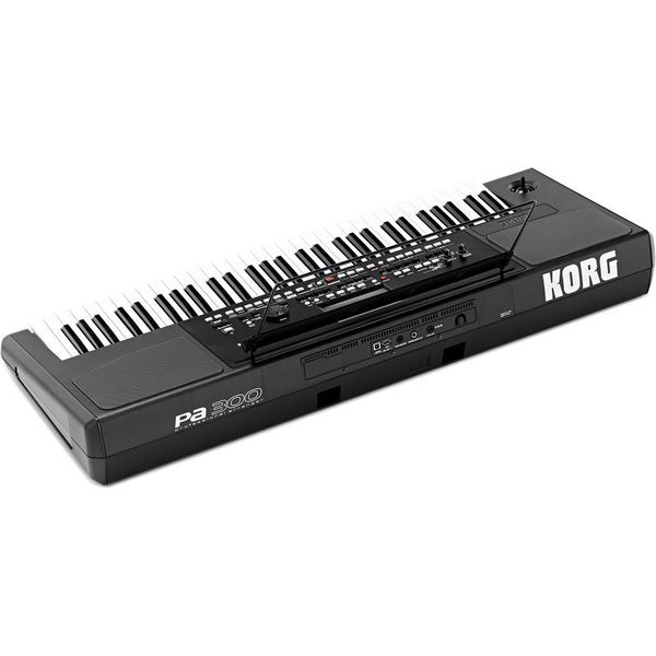 Синтезатор Korg PA300 10106 фото