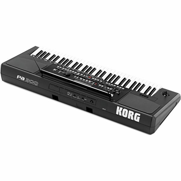 Синтезатор Korg PA300 10106 фото