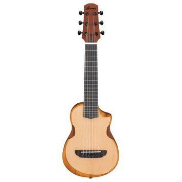 Акустична гітара Ibanez AUP10N-OPN 581588 фото