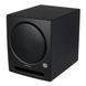 Сабвуфер PreSonus Eris Sub8 BT 10520 фото 9